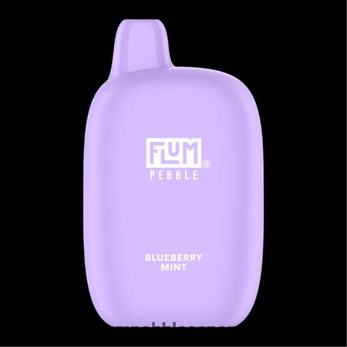 FLUM PEBBLES 6000 bocanadas menta de arándanos 4T66NJ17 FLUM PEBBLE vape flavors