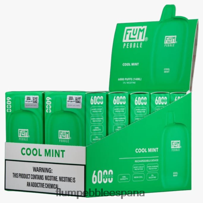 FLUM PEBBLES 6000 inhalaciones 10 paquetes menta fresca 4T66NJ26 FLUM PEBBLE vape near me